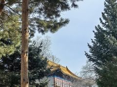 -大乘寺
