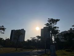 -文华公园(禅城区)