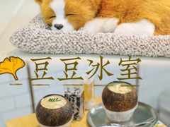 -豆豆冰室·地道招牌椰子冻(大良店)