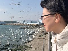 -烟墩角天鹅湖