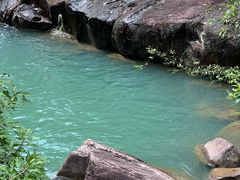 -广州白江湖森林公园