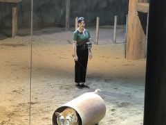 -清迈夜间动物园
