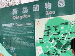 -青岛动物园