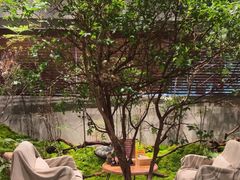 -森SPA·泰式按摩·精油Massage(宝安中心店)