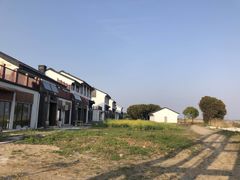 -七的湖·晚芳亭·阳澄湖农家菜·大闸蟹(莲花岛店)
