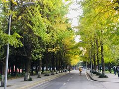 -四川大学(望江校区)