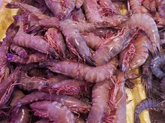 -芦潮港集贸市场