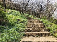-嵖岈山风景区