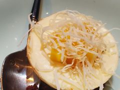 -诺莱仕游艇会