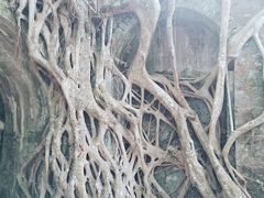 -友谊关景区