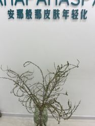 -安那般那皮肤年轻化ANAPANA