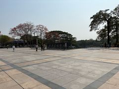 -东莞植物园