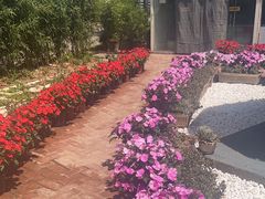 -蘑统田下·野生菌火锅