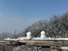 -紫金山山顶公园