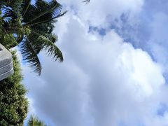 -福田红树林生态公园