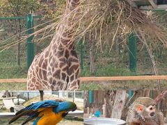 -水上乐园·欢乐世界