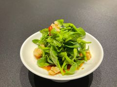醋汁田七苗-逸道(益丰·外滩源店)