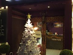 神誕節佈置-ventus spa 沙巴亚庇正宗精油按摩会所