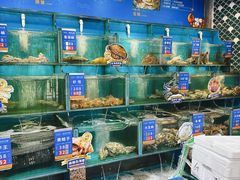 -海味当家·蒸锅海鲜(星海公园店)