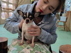 -藦茜花园宠物主题亲子互动体验馆(国顺东路店)