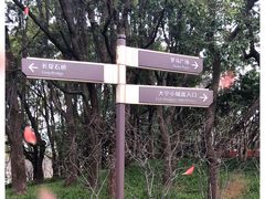 -大宁公园