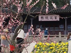 -苏州上方山国家森林公园