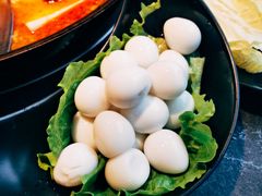 -渝涯重庆豆花老火锅(中赢国际店)