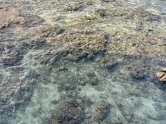 -三亚西岛海洋文化旅游区