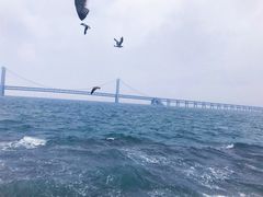 -星海湾跨海大桥