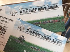 -北海金海湾红树林生态旅游区