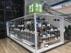 门面-奈雪的茶(市百一店)