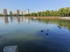 -莲花池公园