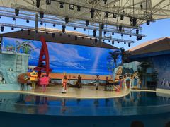 -三亚海昌梦幻海洋不夜城