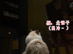 -咖法森林·咖啡  酒吧(天河店)