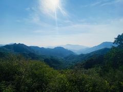 -大岭沟猕猴桃谷风景区