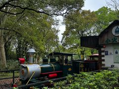 -上海共青森林公园