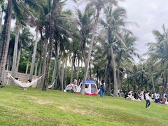 -欢乐海岸椰林沙滩-2025湾区超级灯会
