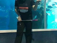 -北戴河圣蓝海洋公园