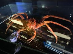 -同济大学四平路校区深海探索馆