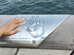 -星光大道