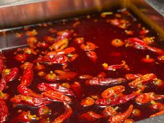 -二荆条·蜀鲜汇城市森林火锅