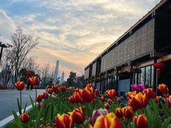 -北外滩滨江绿地