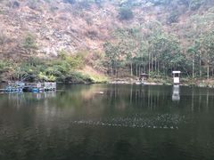 -茗荔园农庄(大涌店)