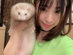 -藦茜花园宠物主题亲子互动体验馆(国顺东路店)