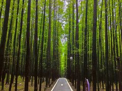 -山王坪喀斯特国家生态公园