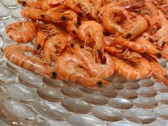 -沈阳玫瑰大酒店