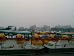 -廊坊文化艺术中心