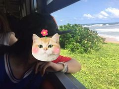 -Ministry of Crab(科伦坡店)