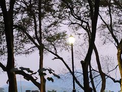 -西湖游船