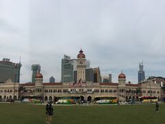 -罗汉果龙眼冰糖燉冬瓜